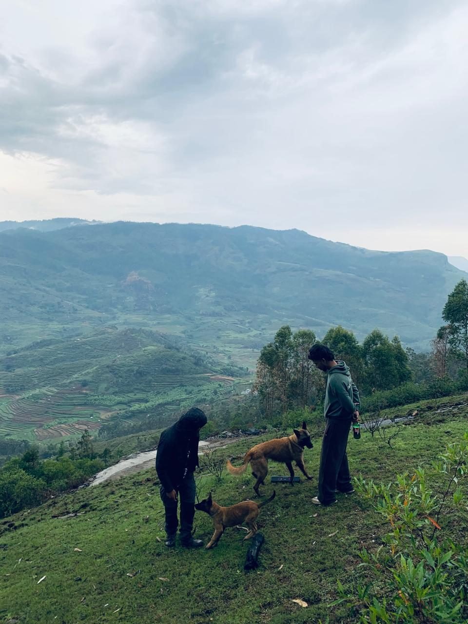 Visitors with dogs on the green hillside near Mowgli Camp
