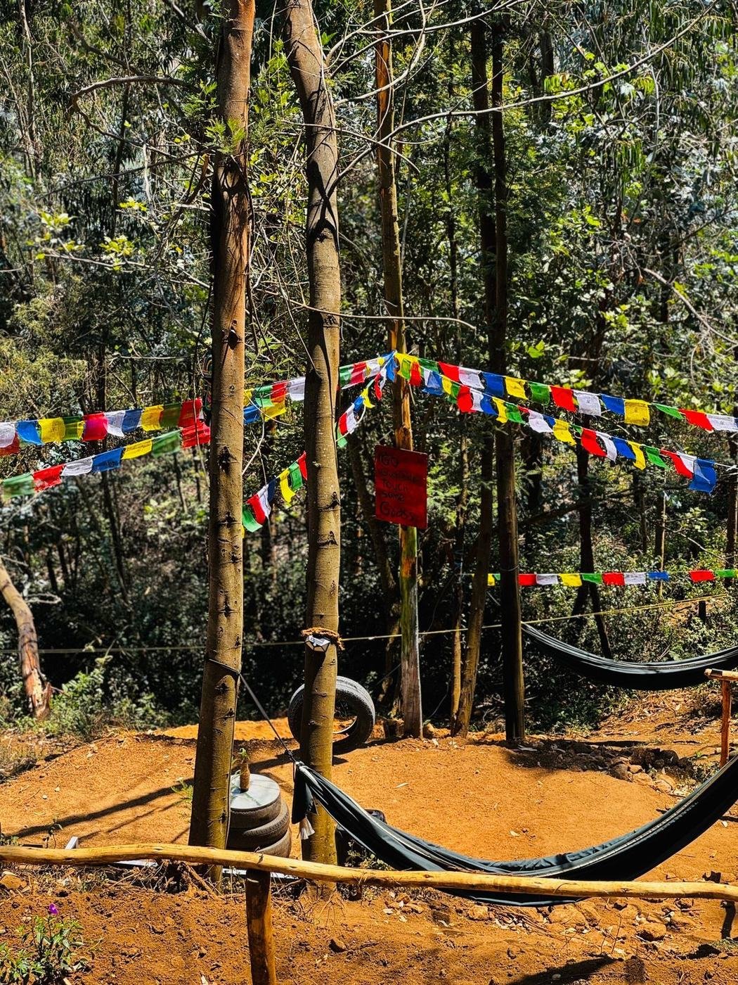 Hammocks between trees at Mowgli Camp Mannavanur