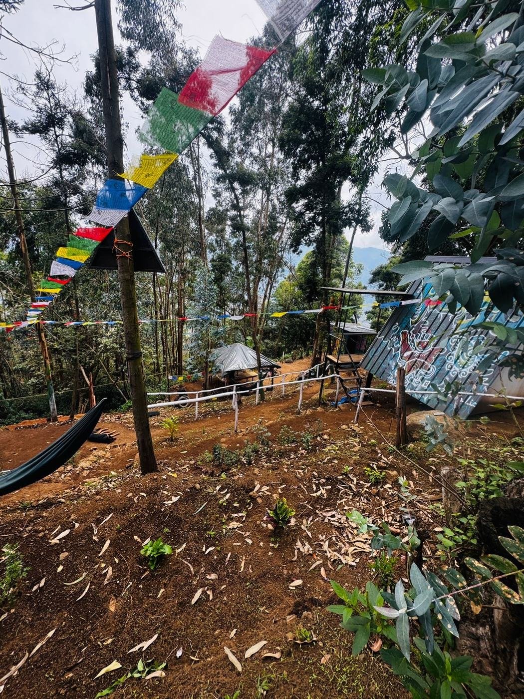 Prayer flags strung across the Mowgli Camp forest clearing