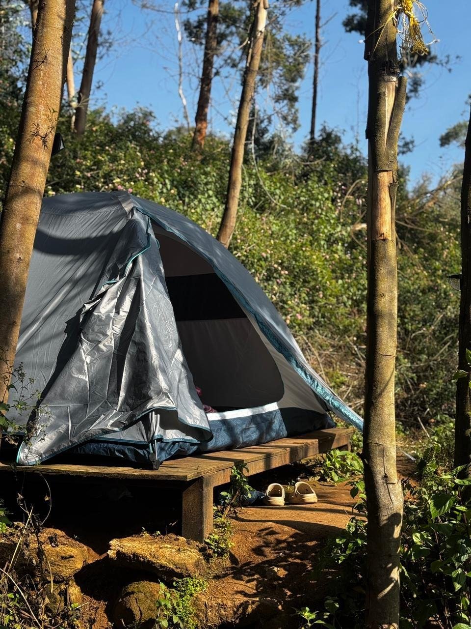 Dome tent on a wooden deck at Mowgli Camp